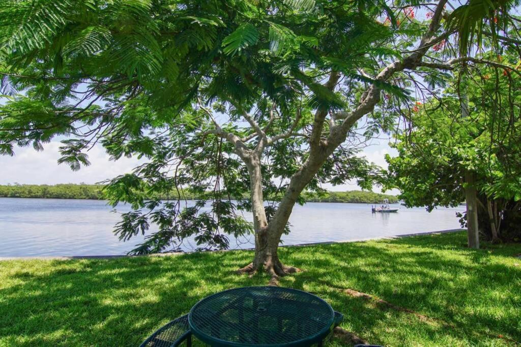 Riverview, Studio 507, Beach Steps Away!+Pool+Wifi 러스킨 외부 사진